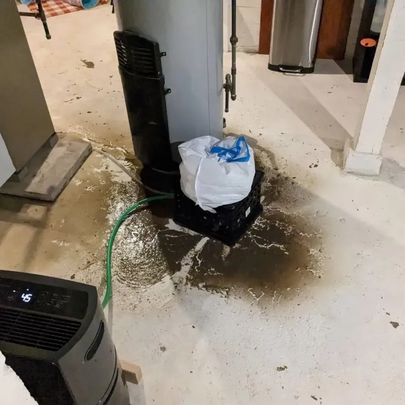 Sewage Backup Cleanup Service in Garrochales, PR